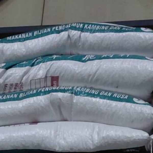 DEDAK KAMBING 25KG+-